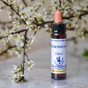 healing herbs Hornbeam