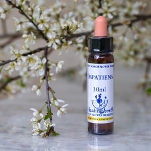 healing herbs Impatiens