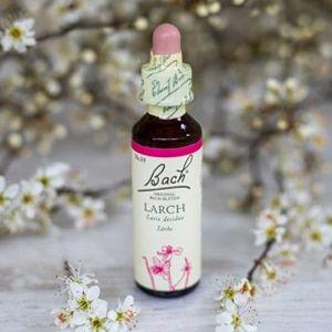 Bach_19_Larch