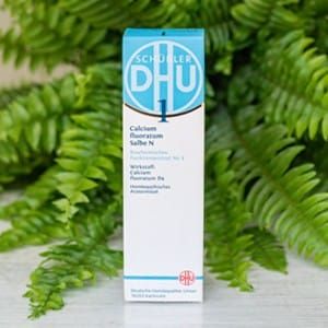 DHU Schüssler Salbe 1