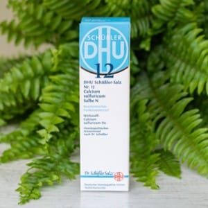 DHU Schüssler Salbe 12