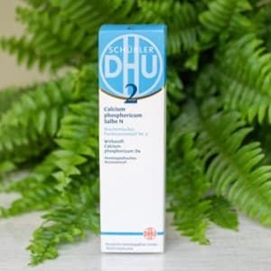 DHU Schüssler Salbe 2
