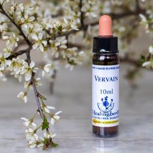 healing herbs Vervein