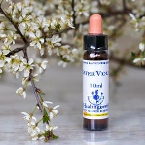 healing herbs Water Violet