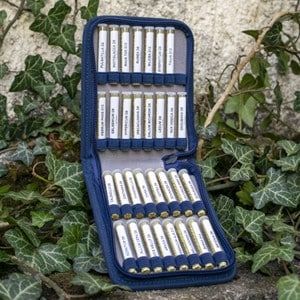Taschenapotheke 31 D-Potenze 2