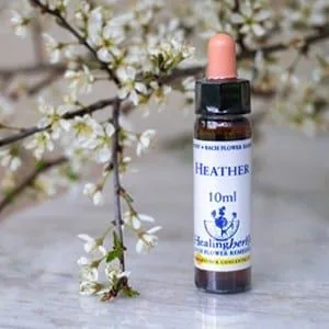 healing herbs Heather