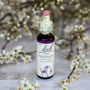 Bach_14_Heather