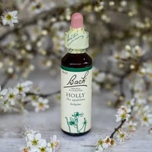 Bach_15_Holly