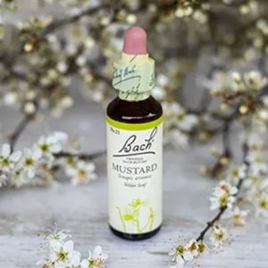 Bach_21_Mustard