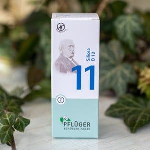 Schüssler 11 klein
