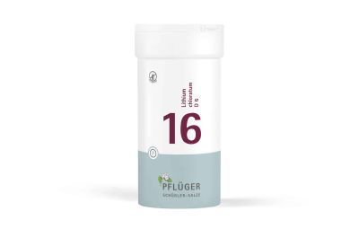Schüssler Nr. 16 400 Tabletten