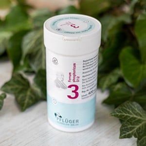 Schüssler 3 groß