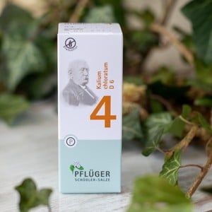 Schüssler 4 klein