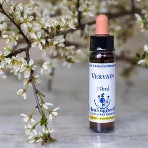 healing herbs Vervein