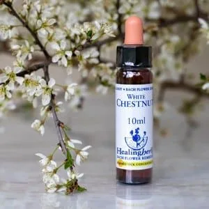 Healing Herbs White Chestnut