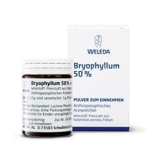 Bryophyllum 50% Pulver Weleda