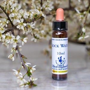 healing herbs Rock Water
