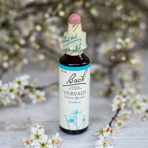 Bach_31_Vervain